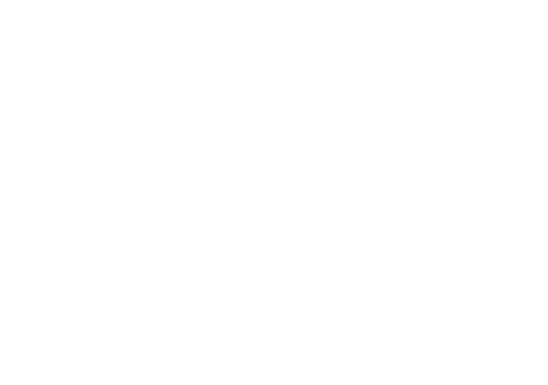 光4
