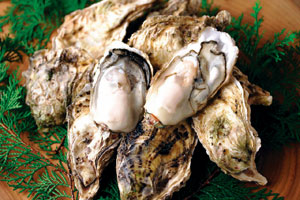今が旬！美味しい牡蠣を食べ尽くそう オイスターフェア