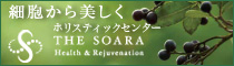 ホリスティックセンター THE SOARA