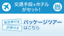パッケージツアーはこちら