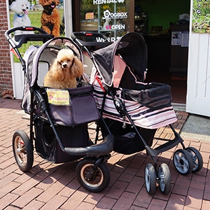 ラインナップ Dog Box ショッピング ハウステンボスリゾート