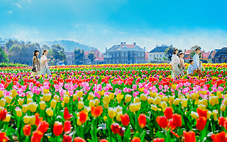 100万本のチューリップ祭 フラワーフェスティバル イベント ショー ハウステンボスリゾート