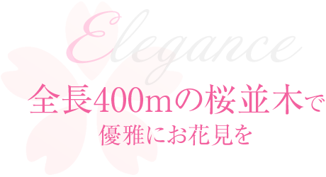 日本三大桜の子孫木を九州初公開 さくら祭 イベント ニュース ハウステンボスリゾート