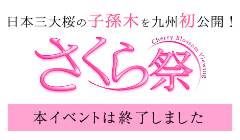日本三大桜の子孫木を九州初公開 さくら祭 イベント ニュース ハウステンボスリゾート 日本三大桜の子孫木を九州初公開 さくら祭 イベント ニュース ハウステンボスリゾート
