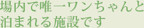 場内で唯一ワンちゃんと泊まれる施設です