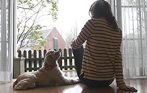 場内で唯一ワンちゃんと泊まれる施設です