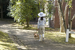 ハウステンボスを愛犬と一緒に楽しむ