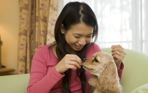宿泊同意書について