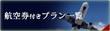 航空機付きプラン一覧