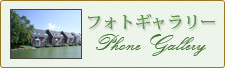 フォトギャラリー