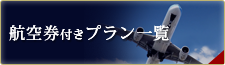 航空機付きプラン一覧