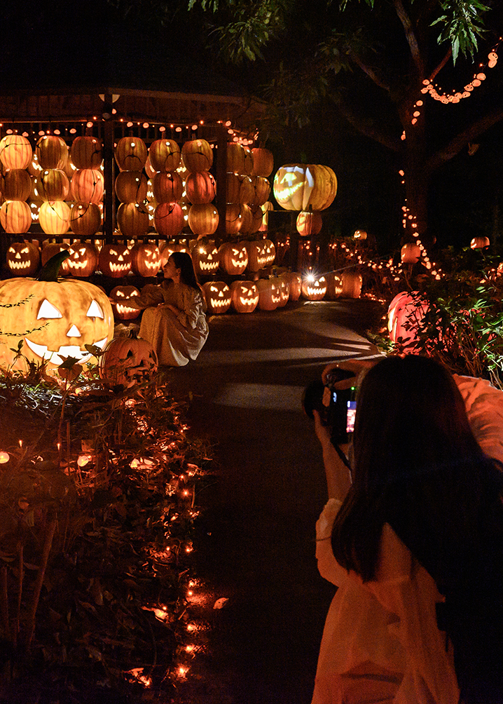 ハロウィーンナイトウォーク