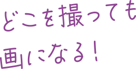 どこを撮っても画になる！