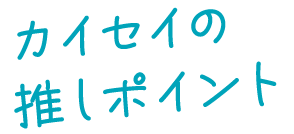 カイセイの推しポイント