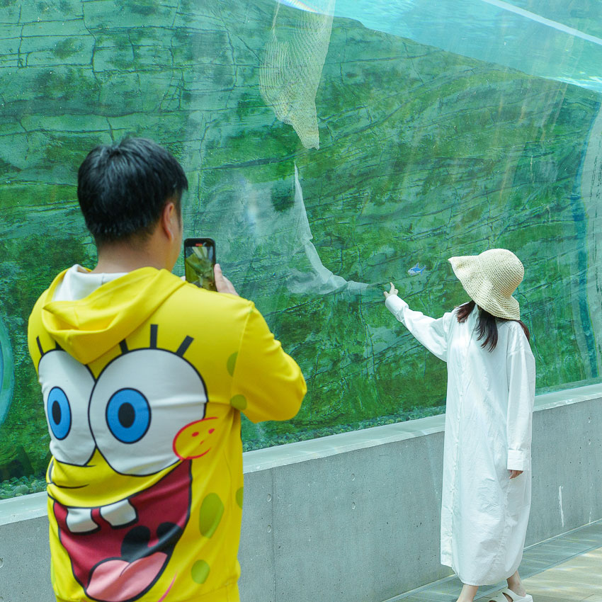 九十九島動植物園森きらら