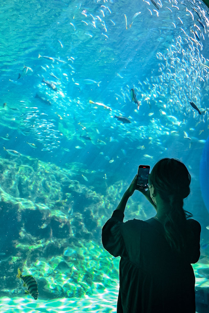 九十九島水族館海きらら