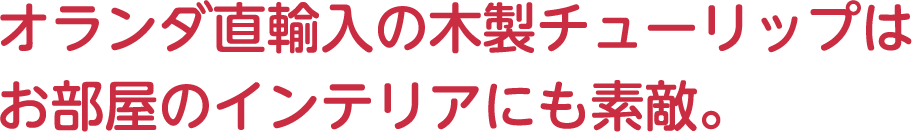 オランダ直輸入の木製チューリップはお部屋のインテリアにも素敵。